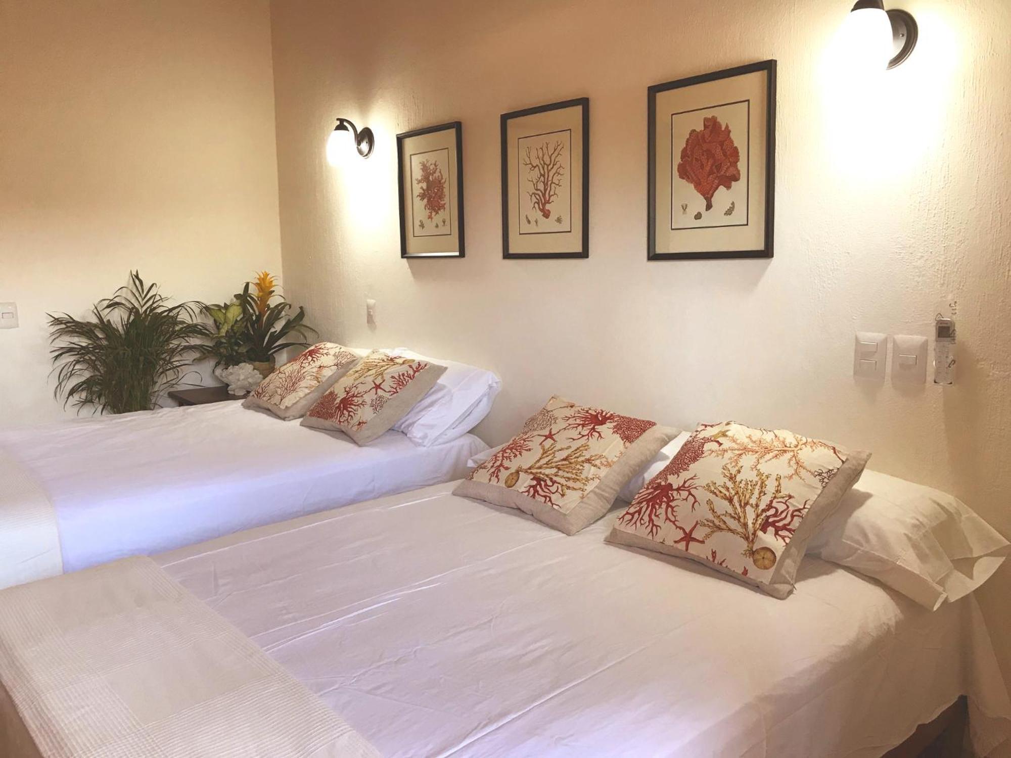 Casa Botanica Hotell Lo de Marcos Exteriör bild