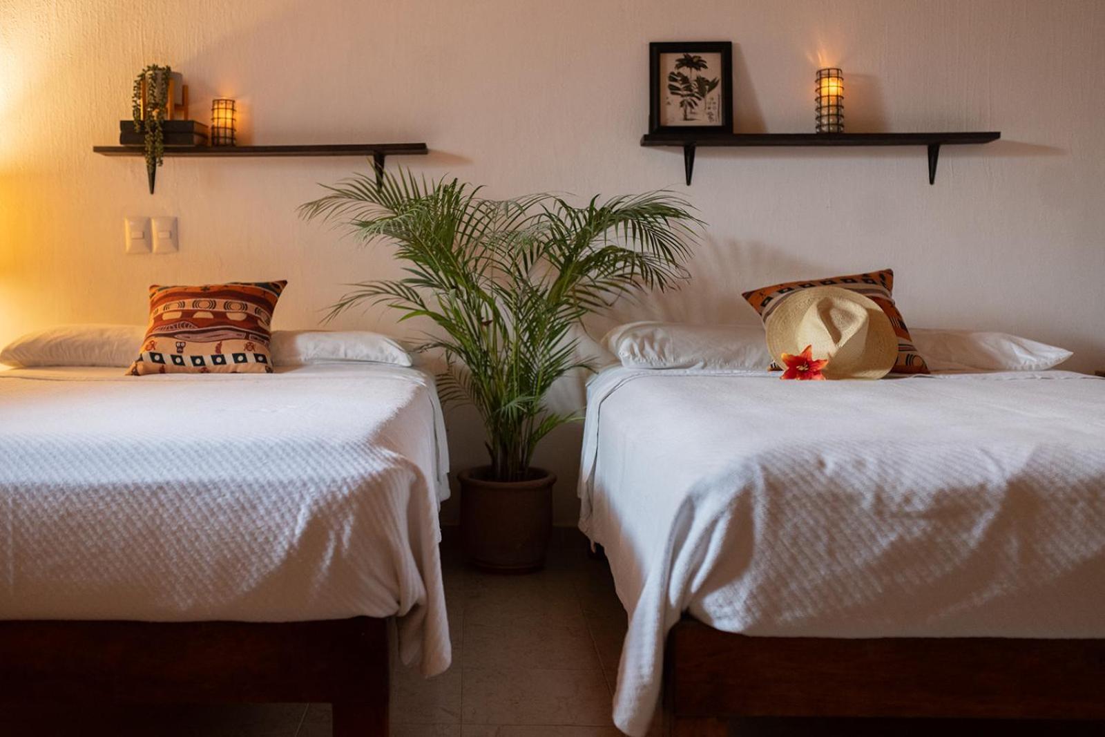 Casa Botanica Hotell Lo de Marcos Exteriör bild