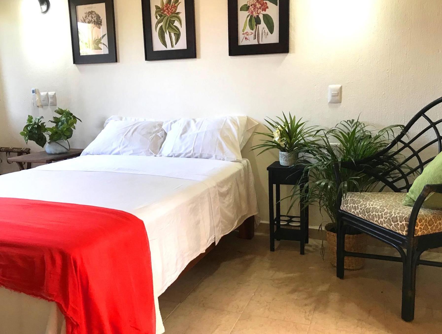 Casa Botanica Hotell Lo de Marcos Exteriör bild