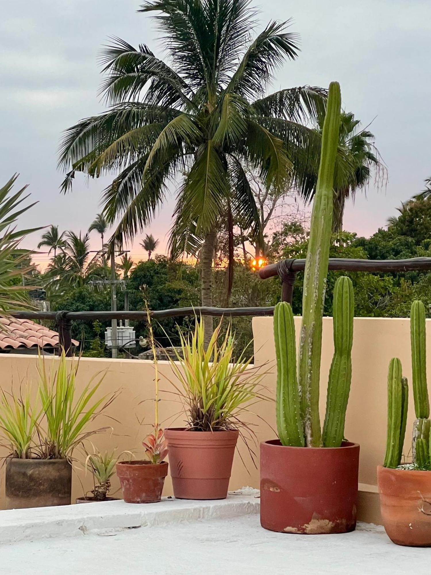 Casa Botanica Hotell Lo de Marcos Exteriör bild