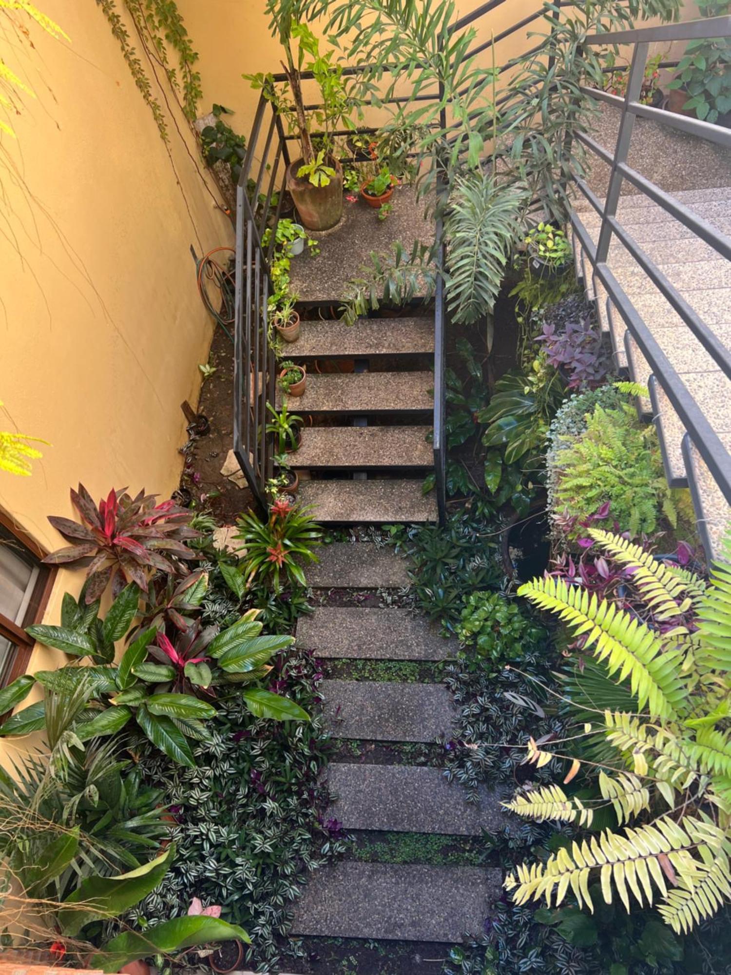 Casa Botanica Hotell Lo de Marcos Exteriör bild